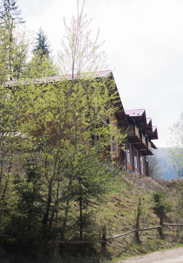 Karpatska Oselia Villa Verkhovyna Ngoại thất bức ảnh